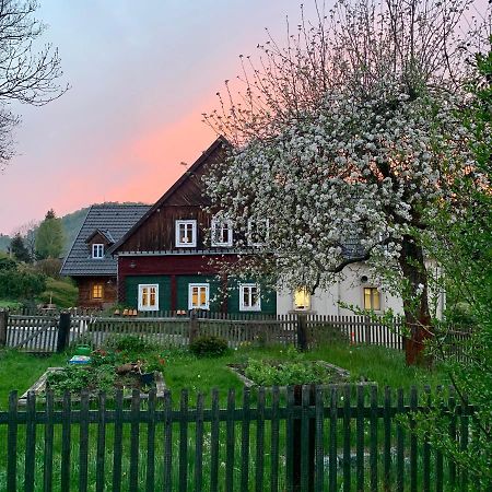 Penzion Na Stodolci Chřibská Екстериор снимка